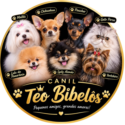 Logo do Canil Teo Bibelôs com filhotes de Maltês, Chihuahua, Pinscher, Spitz, Yorkshire e Gato Persa